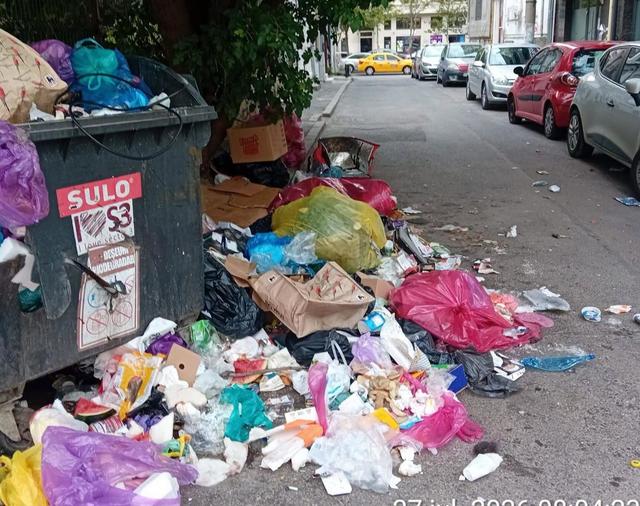 Primăria Capitalei explică prezența rozătoarelor în zona Pieței Sf. Vineri