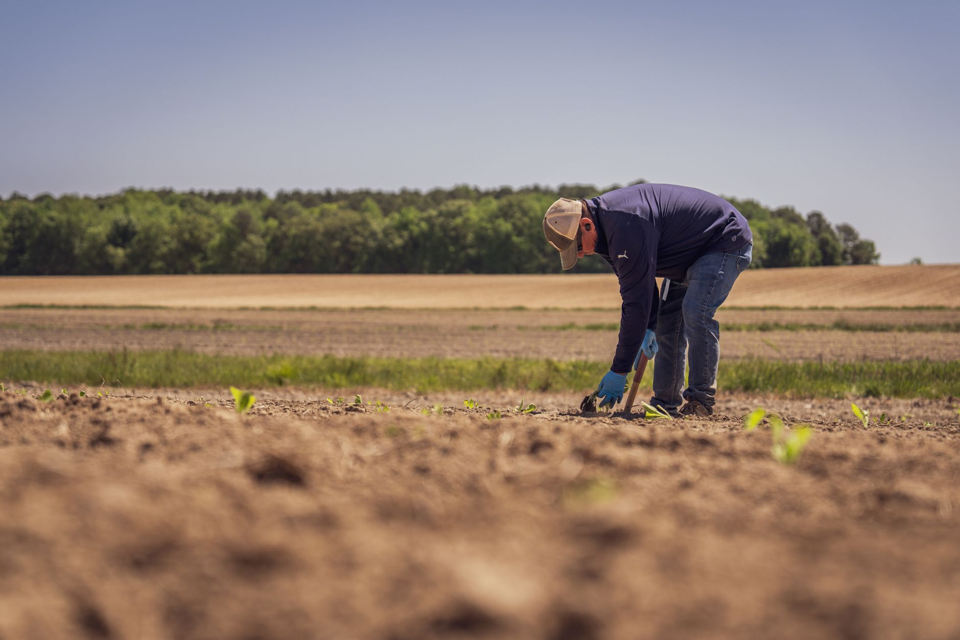 Agri Next 2026: Dezbaterea provocărilor economice și tehnologice ale agriculturii din România