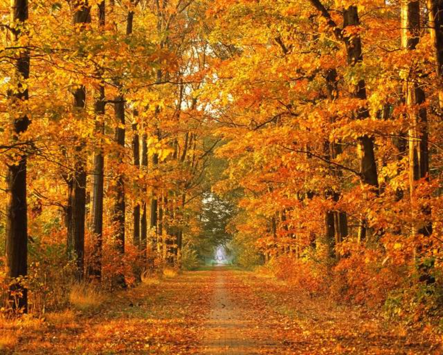 Schimbări meteorologice în România: între temperaturi scăzute și posibila încălzire în jurul datei de 21 octombrie