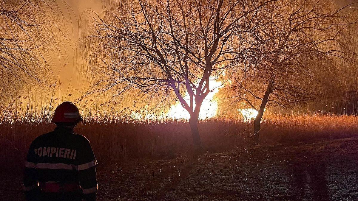 O nouă metodă de monitorizare poate ajuta la anticiparea comportamentului incendiilor de vegetație