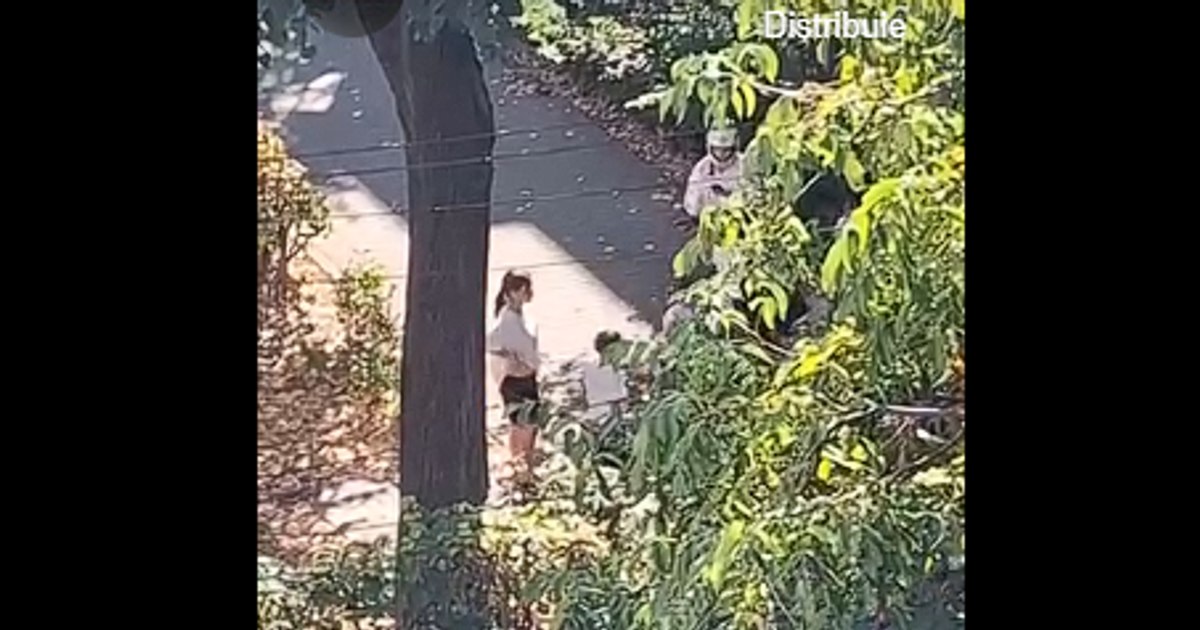Anchetă polițienească în Bacău după ce un videoclip cu agresiuni între adolescente a apărut pe rețelele sociale