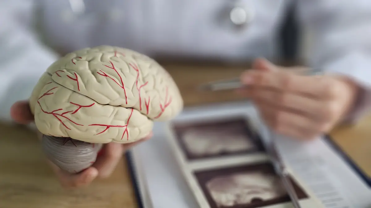 Mitul celor 10% din capacitatea creierului: Explicația neurochirurgului Alexandru Vlad Ciurea