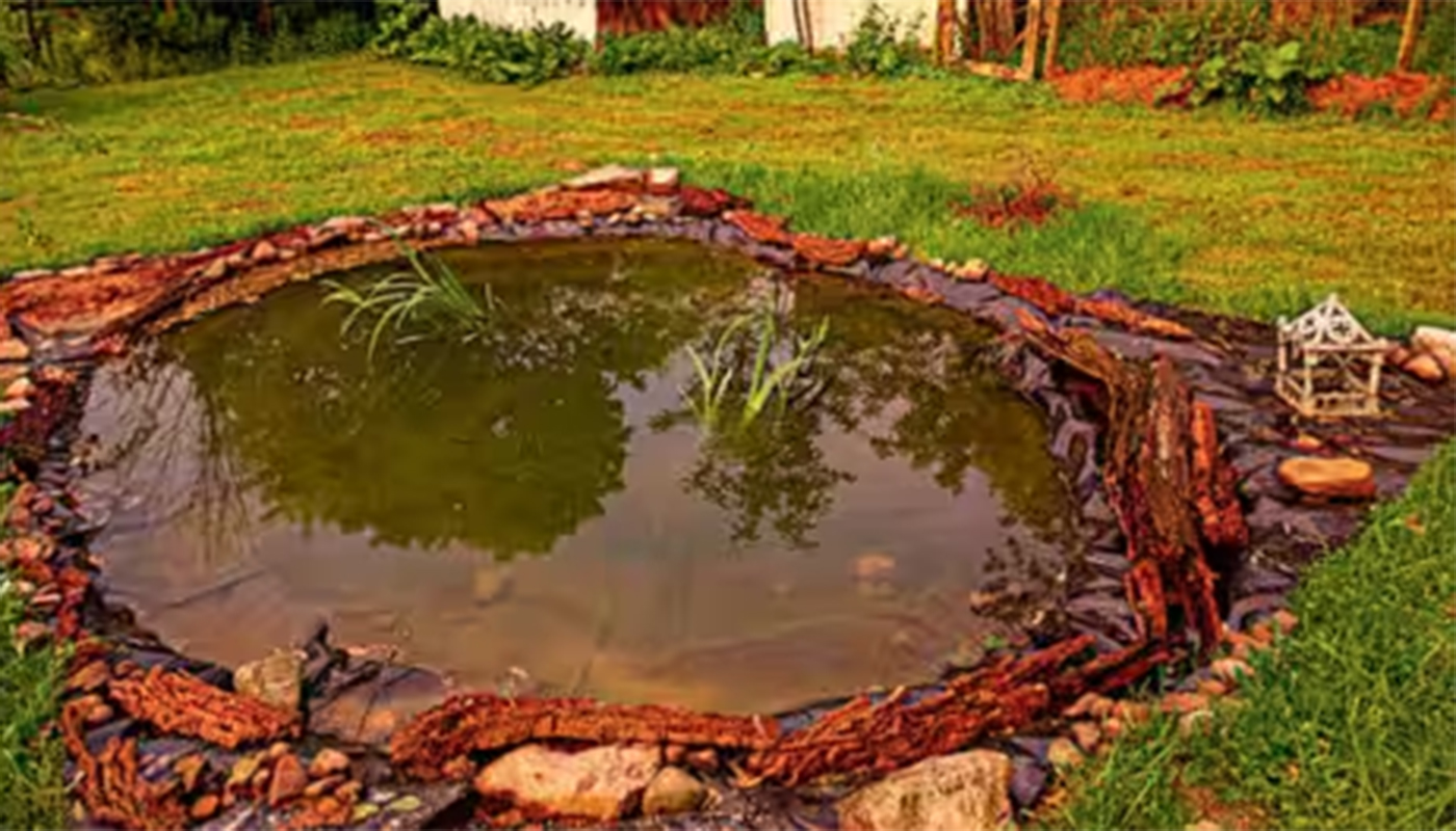 De la un proiect școlar la un ecosistem complet: Povestea iazului creat de o adolescentă