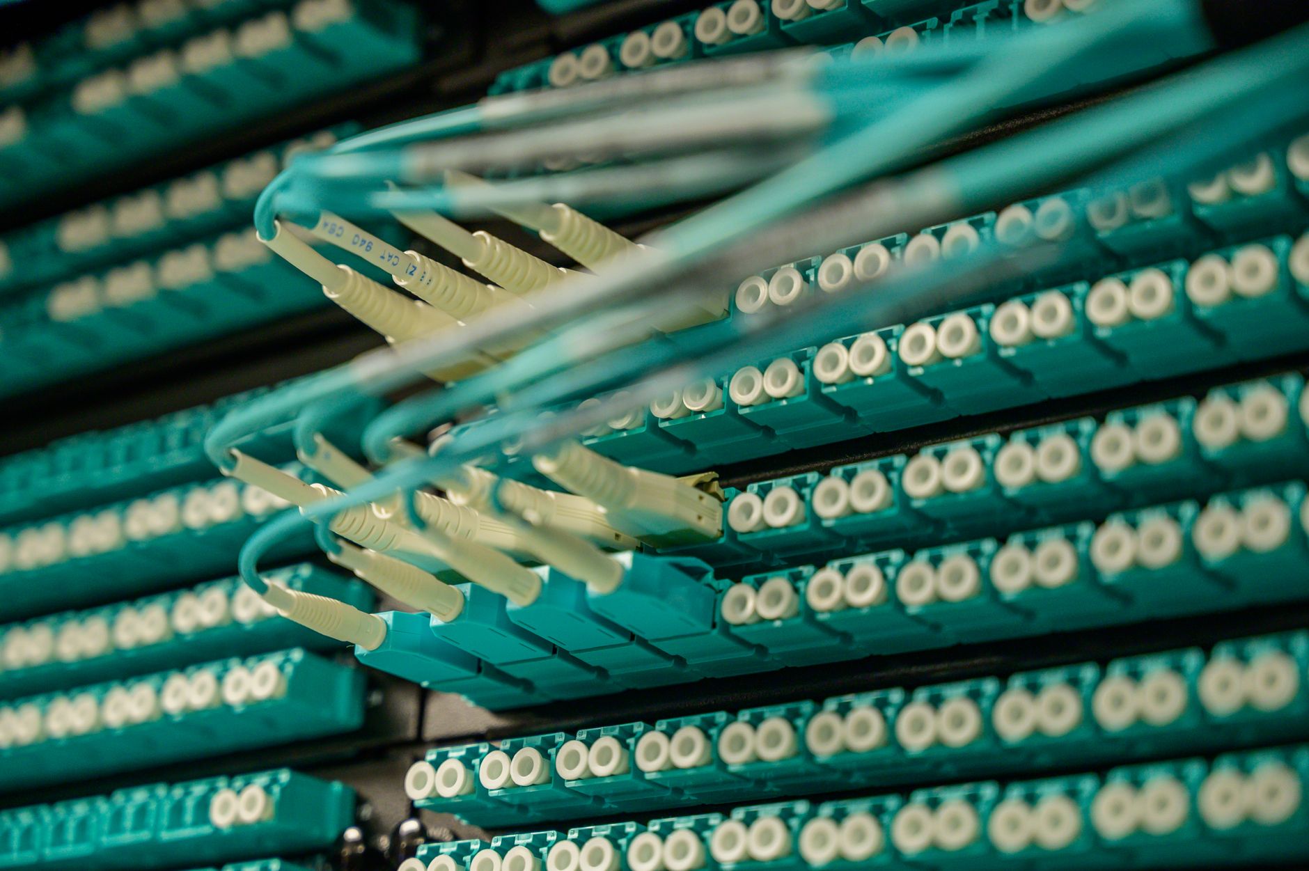 Network One Distribution și Be-Cloud Group lansează NOD Cloud pentru soluții Microsoft, AI și securitate