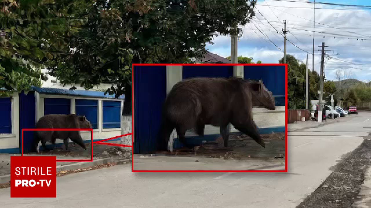 O fotografie falsă generată cu inteligența artificială a provocat panică și intervenții ale jandarmilor în Câmpina