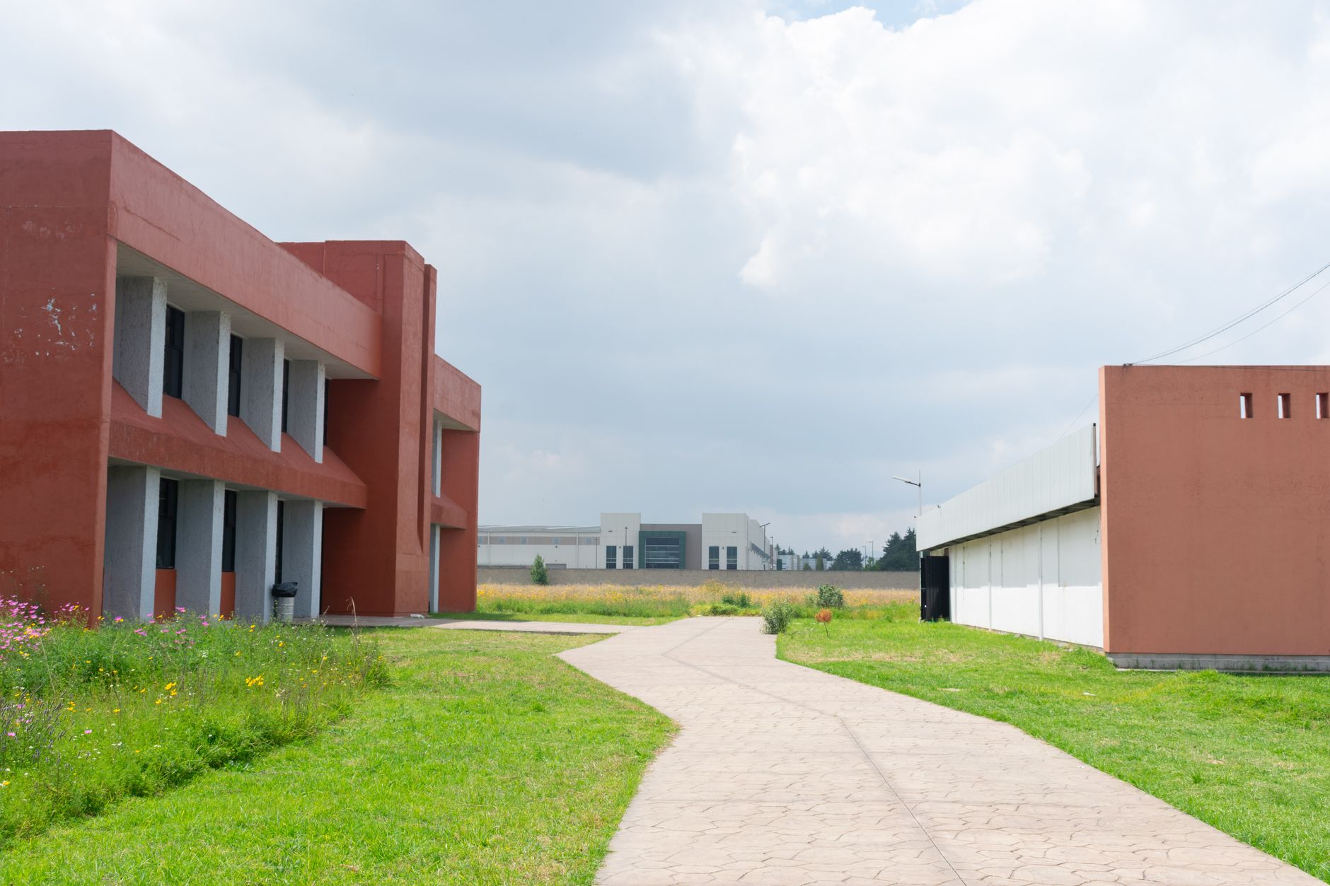 Trump propune plăți directe către comunitățile care găzduiesc centre de date pentru dezvoltarea AI