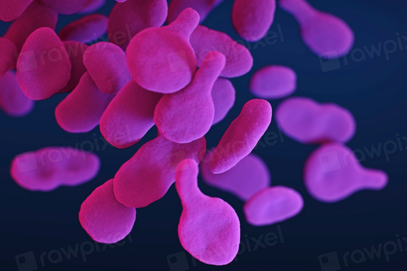 Descoperire științifică în epavele din Pacific: bacterii care ar putea combate poluarea cu petrol