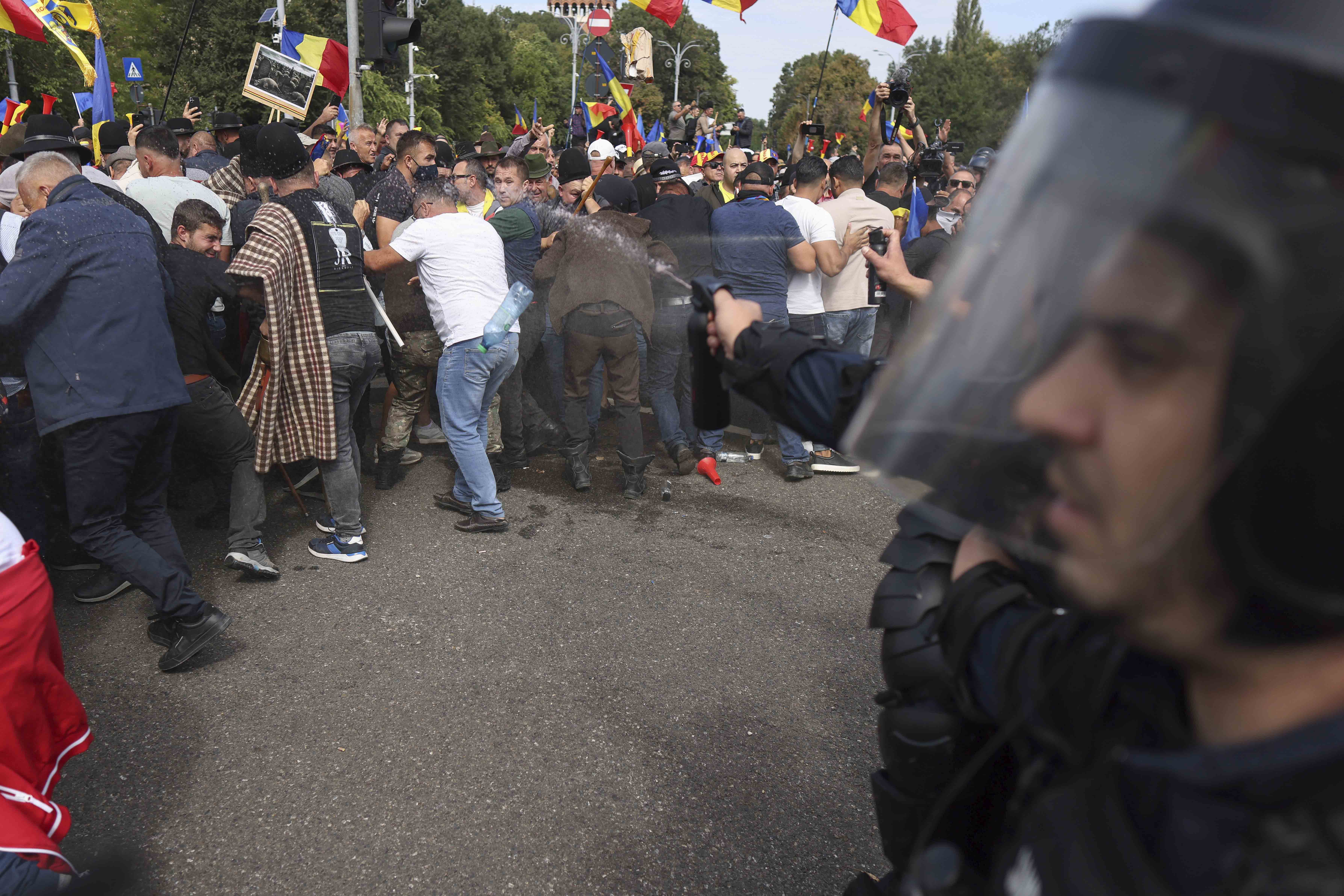 MAI avertizează asupra tentativelor de manipulare a ciobanilor prin instigări la protest