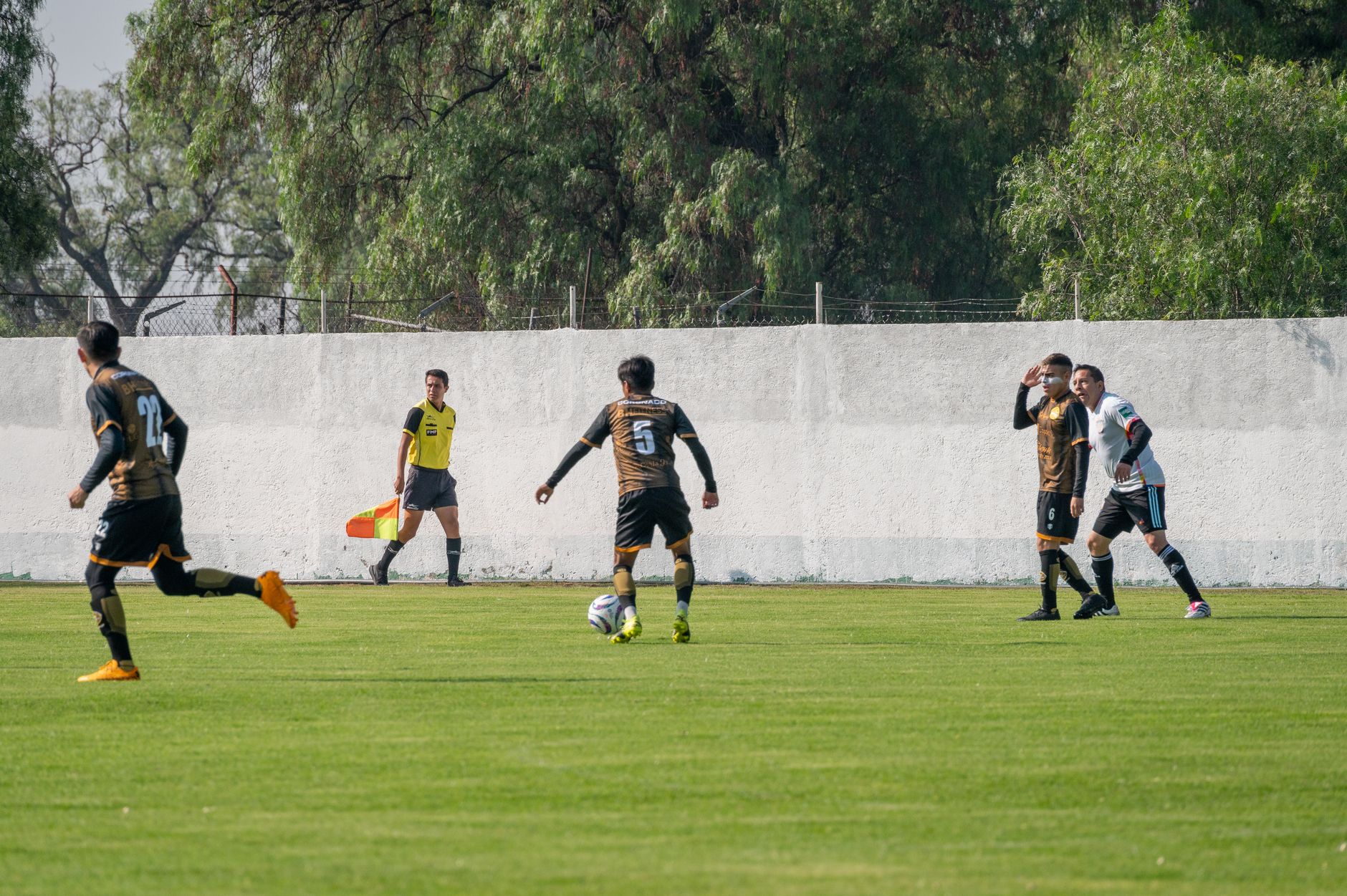 UTA Arad a învins FC Argeș și a ocupat locul 6 în clasamentul Superligii