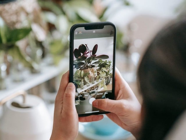 Cum poți identifica orice obiect dintr-o fotografie folosind telefonul mobil