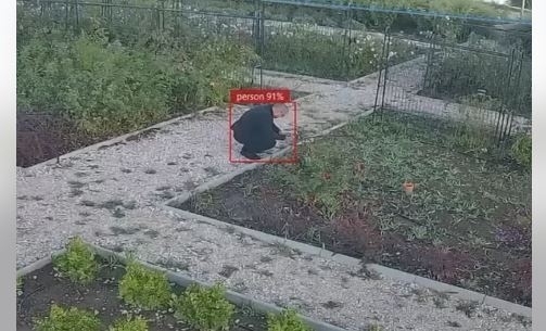 Primul parc din România cu supraveghere prin inteligență artificială este funcțional în Tulcea