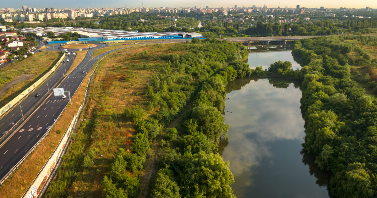 Valea Saulei devine a treia arie naturală protejată din București. Zona adăpostește peste 350 de specii