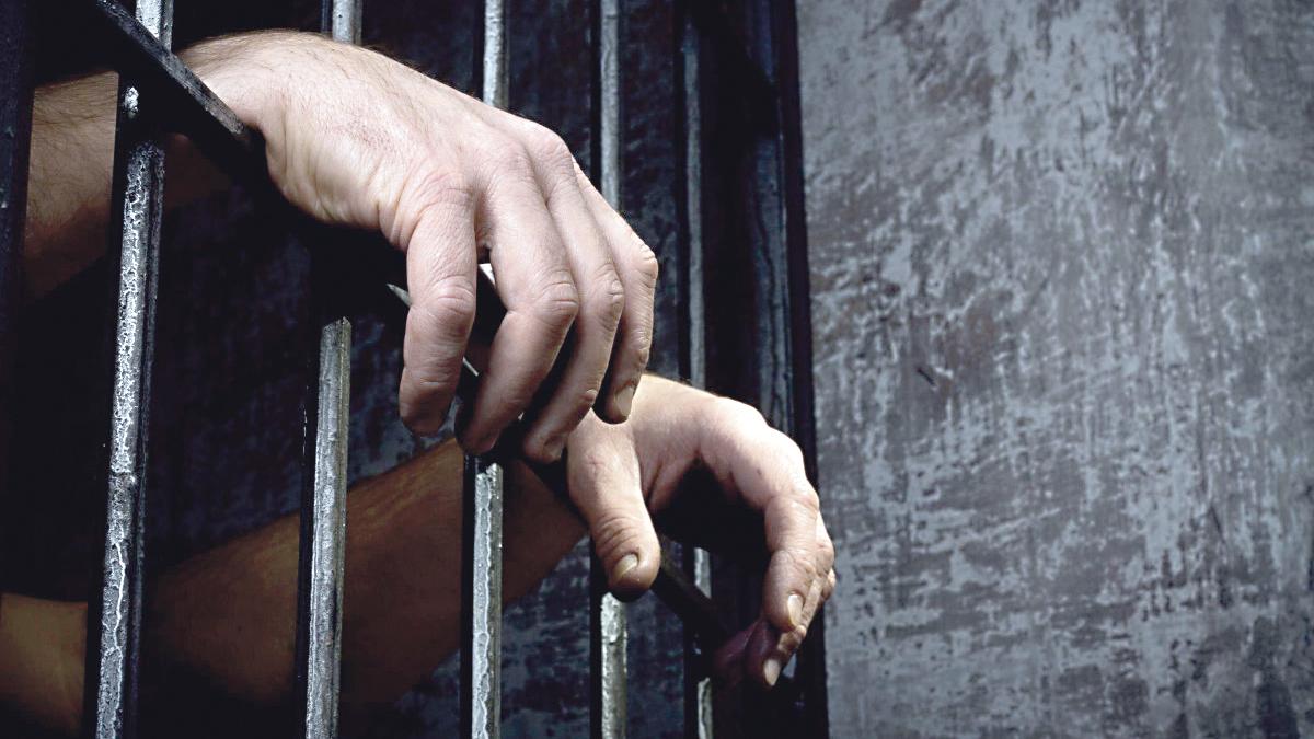 Un turist riscă închisoarea după ce a transportat corali din Egipt ca suvenir