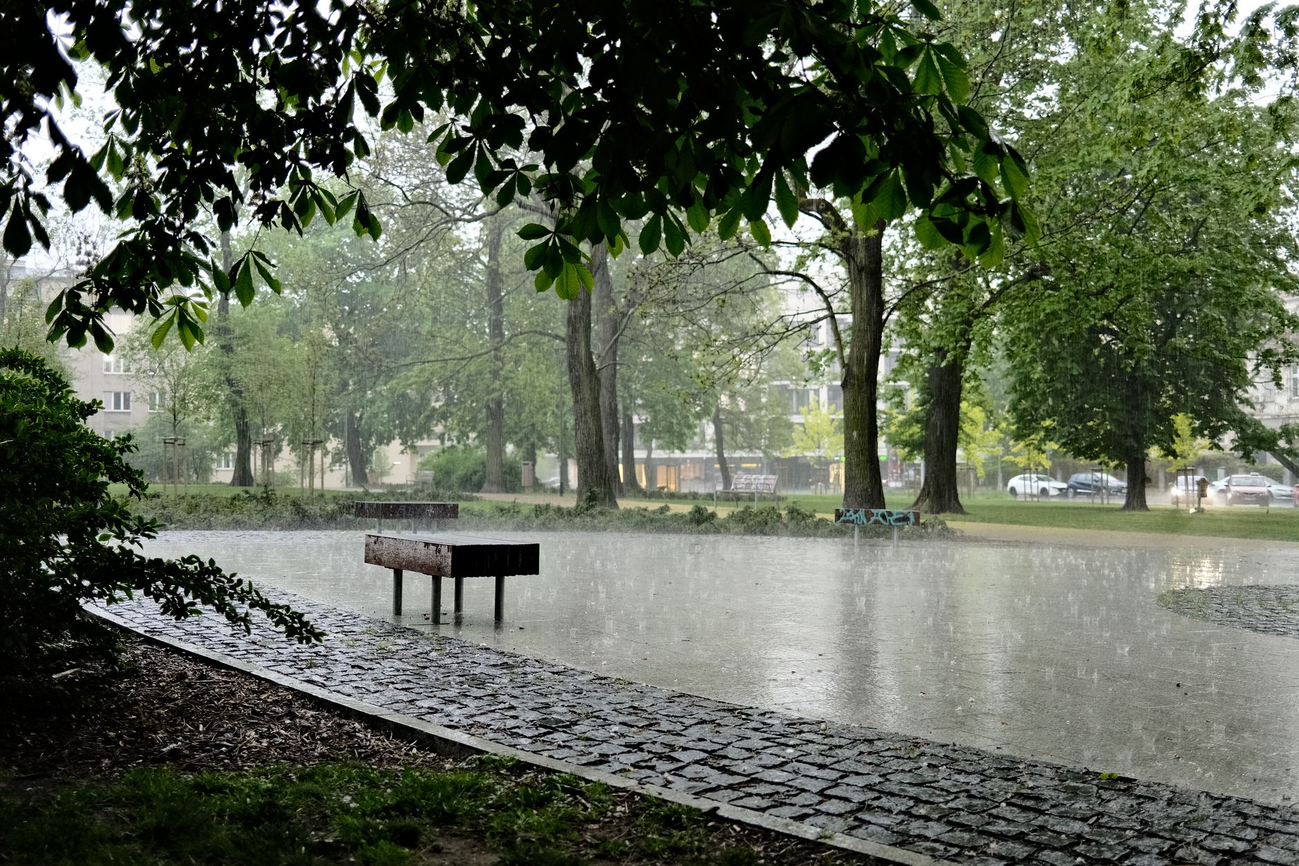 Festivalul West Side Hallo Fest este amânat din cauza condițiilor meteo nefavorabile