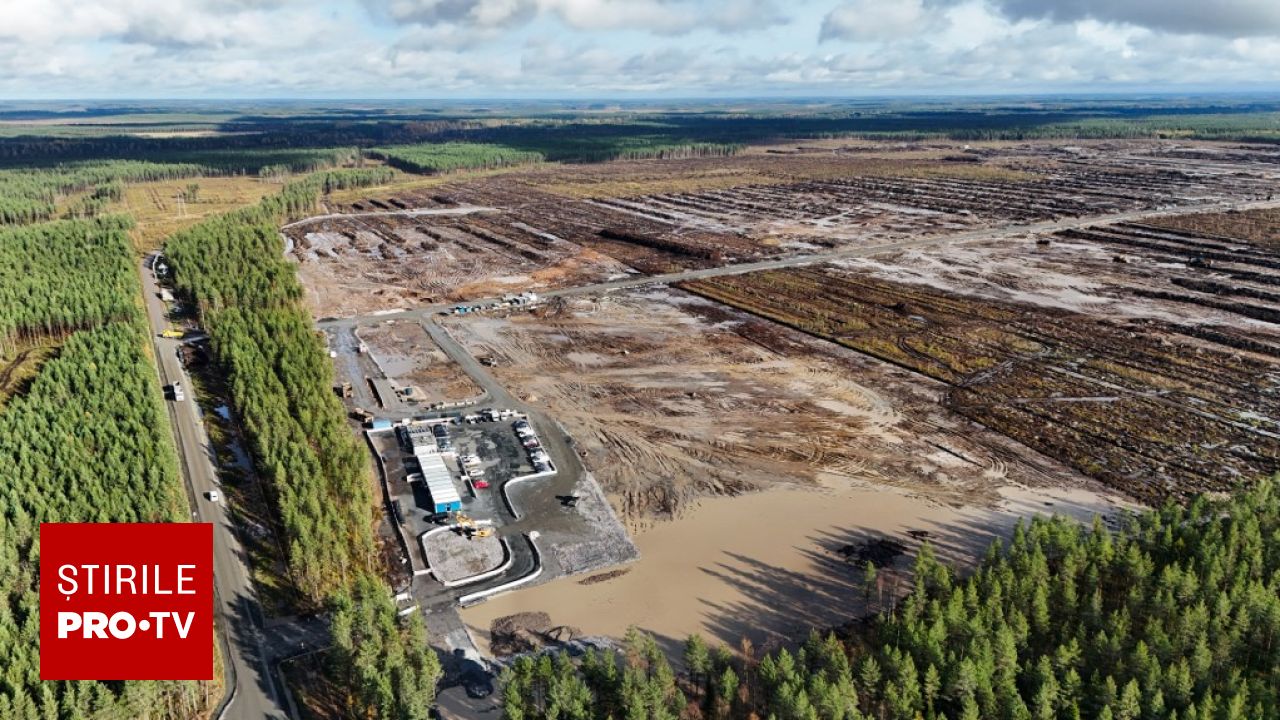 Ancheta penală a poliției finlandeze după defrișarea a 330 de hectare de pădure pentru un centru de date Google