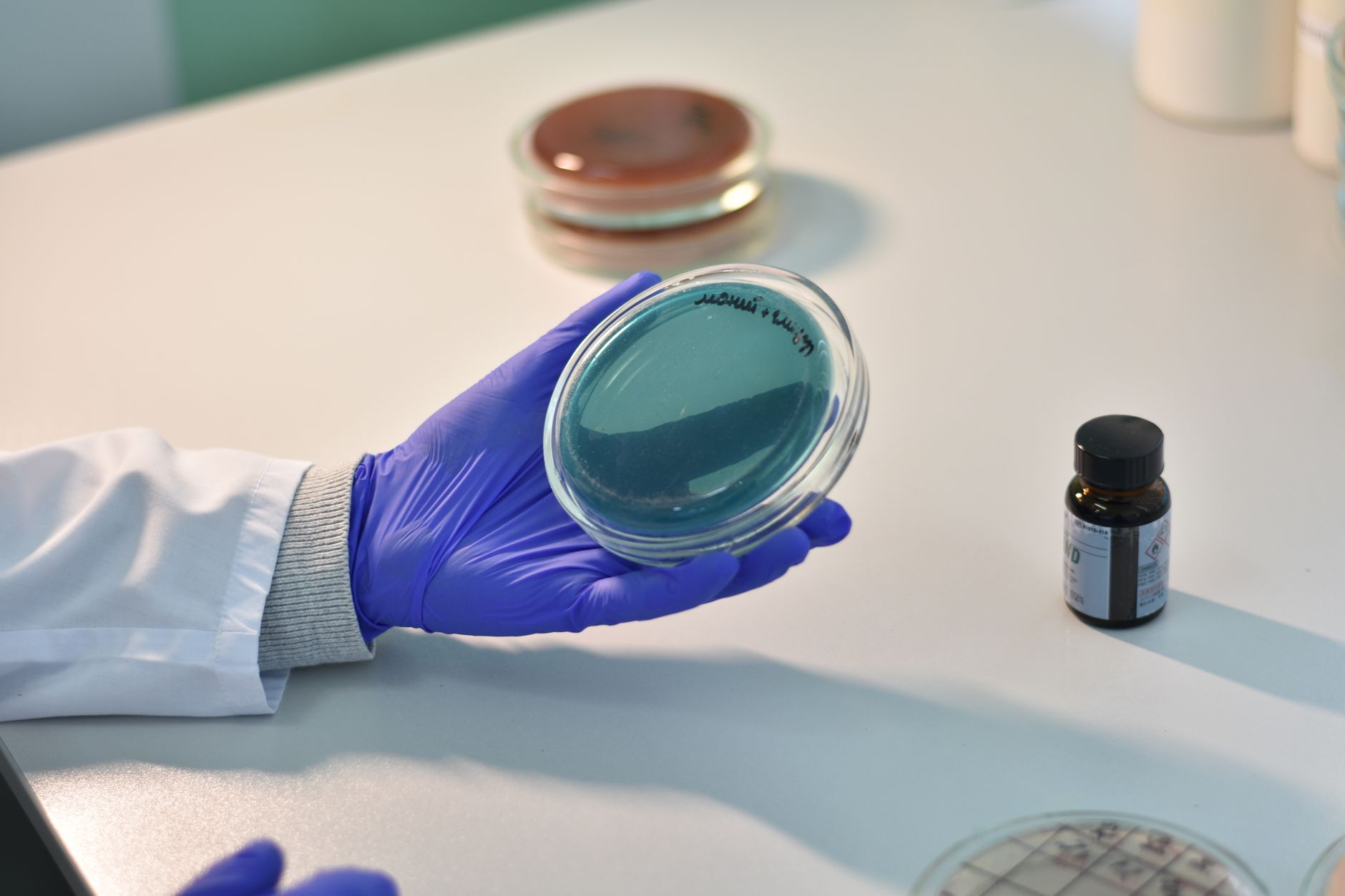 Merck estimează venituri de peste 67 de miliarde de dolari în 2026, după rezultate solide în oncologie