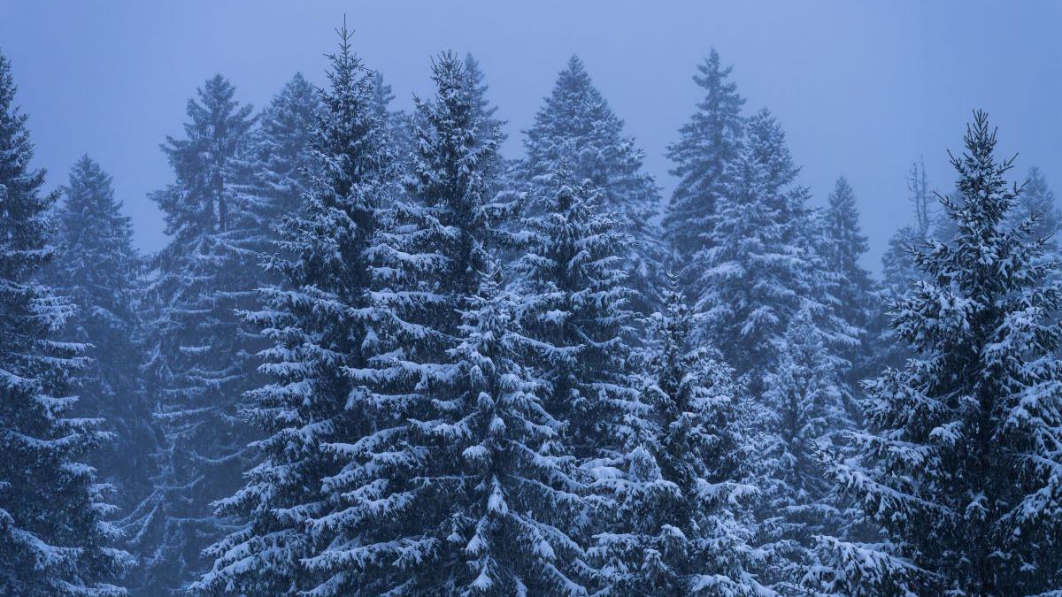 Avertizări meteo severe în România: Cod portocaliu pentru ploi și ninsori în mai multe regiuni