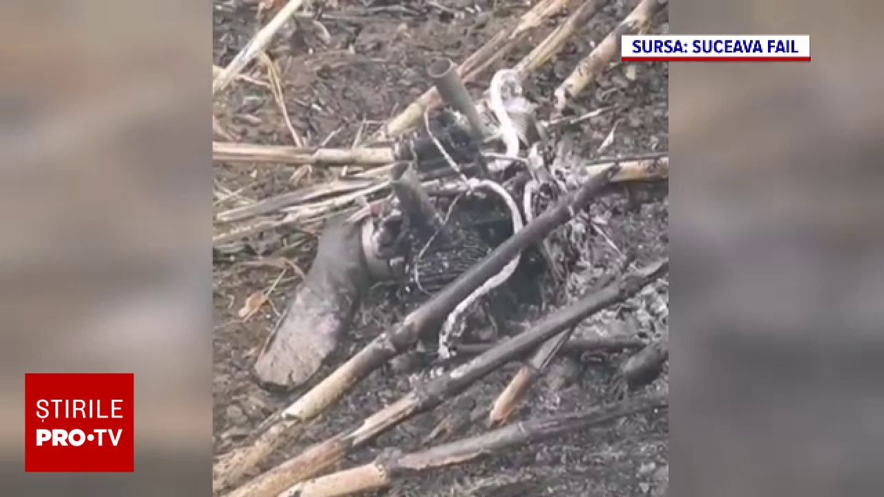 Dronă prăbușită în Suceava: Autoritățile verifică locul impactului într-un lan de porumb
