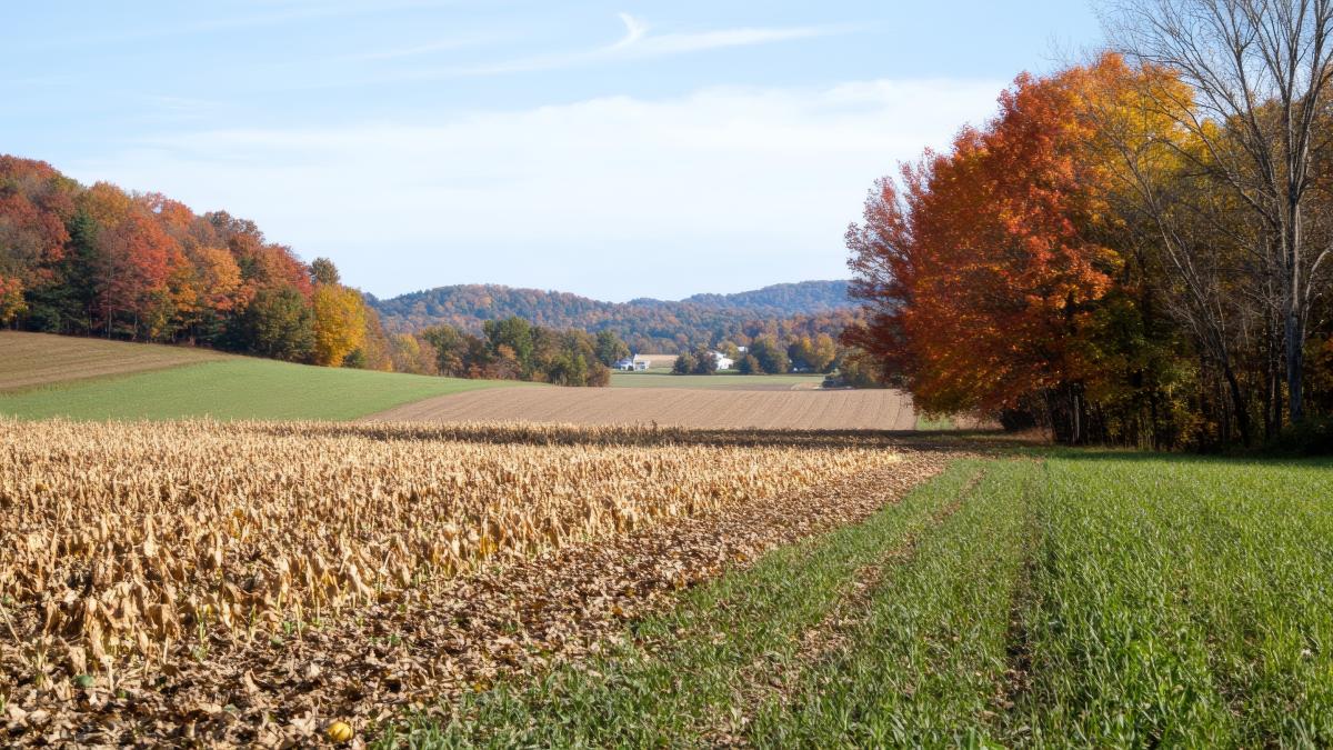 Noul an agricol începe cu deficit de precipitații în România, avertizează ANM