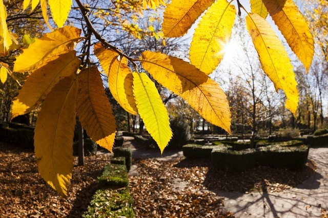 Prognoza ANM pentru octombrie: temperaturi mai ridicate decât normalul în majoritatea lunii
