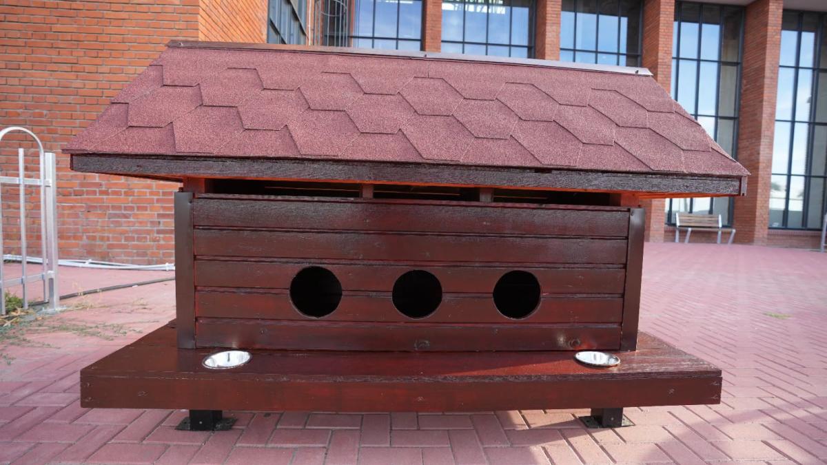 Sectorul 3 oferă gratuit căsuțe din lemn pentru pisicile comunitare din grădinile blocurilor