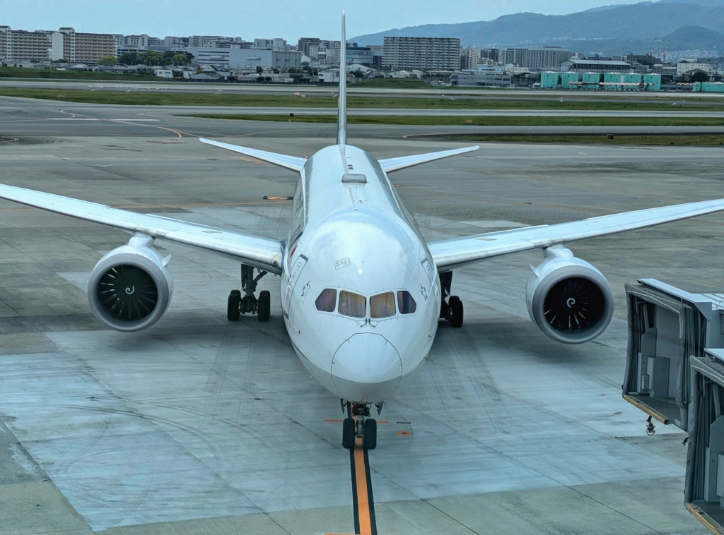 Aterizare de urgență la Otopeni după ce un avion de la Cluj către Antalya ar fi lovit păsări