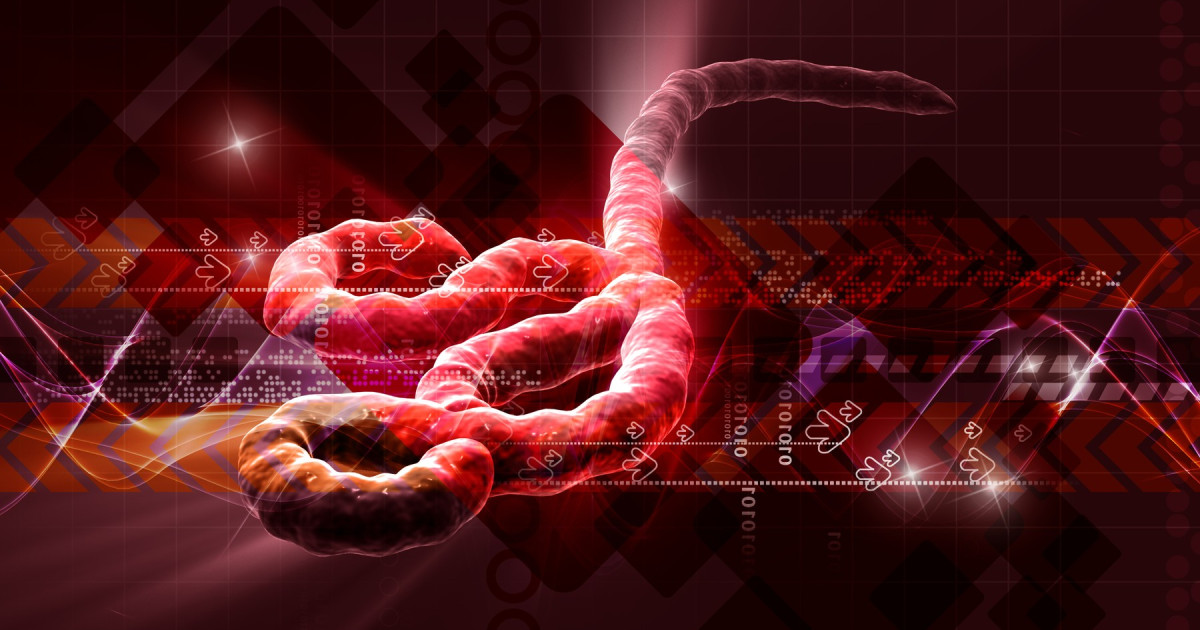 Misterul rezervorului natural al virusurilor letale: de ce reapar epidemii precum Ebola după ani de liniște