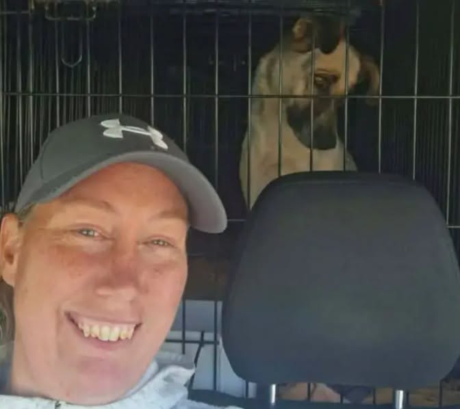 Două femei britanice care salvau câini fără stăpâni au murit într-un accident rutier în România