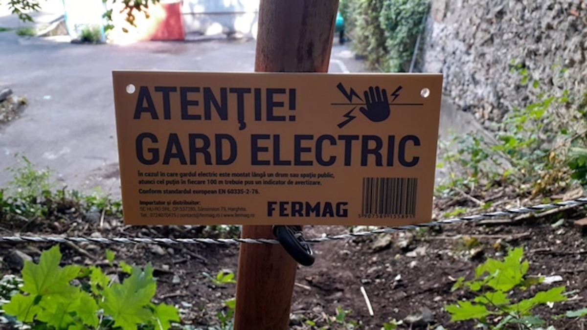O ursoaică cu pui a intrat în Râșnov din cauza porților lăsate deschise la gardul electric