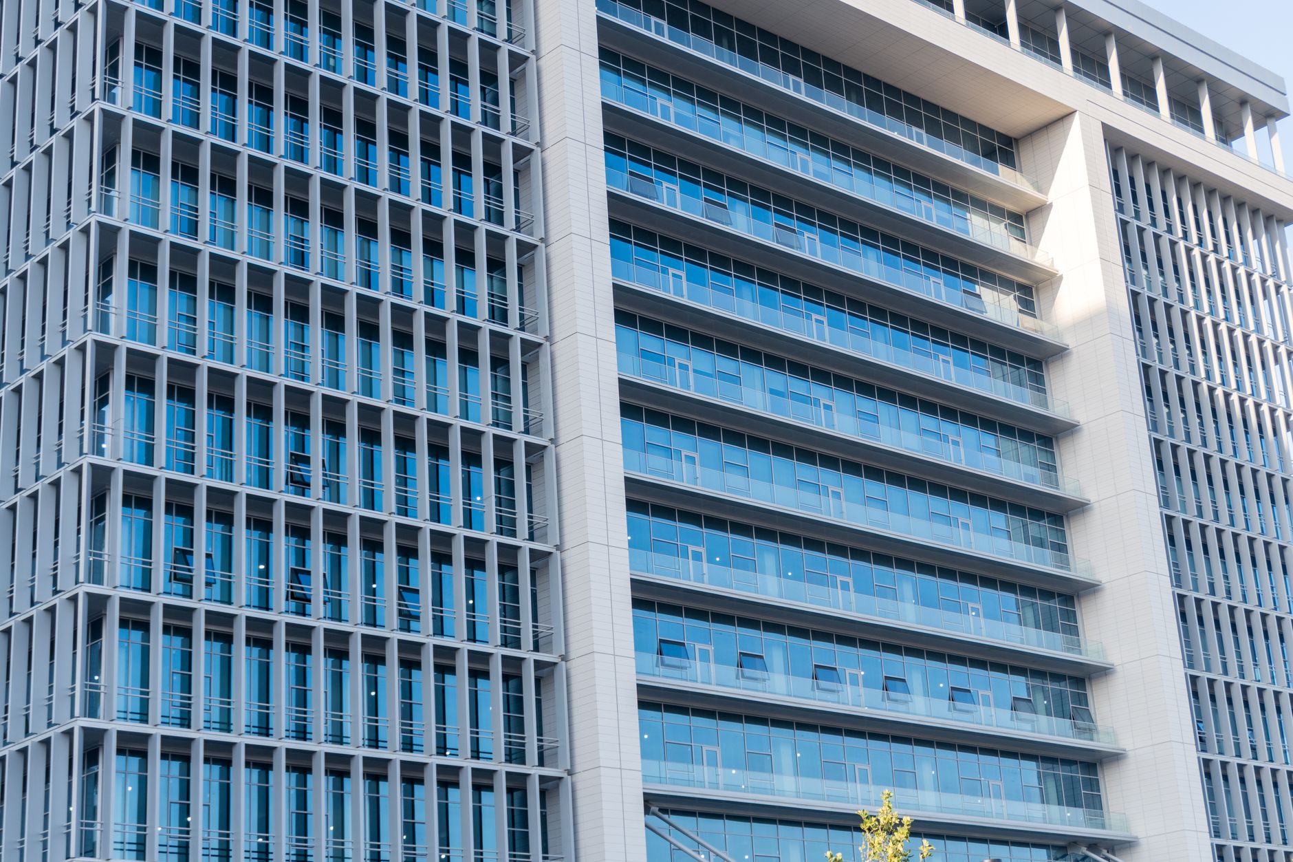 Compania olandeză Itility deschide primul sediu din România la Iași și vrea 100 de angajați