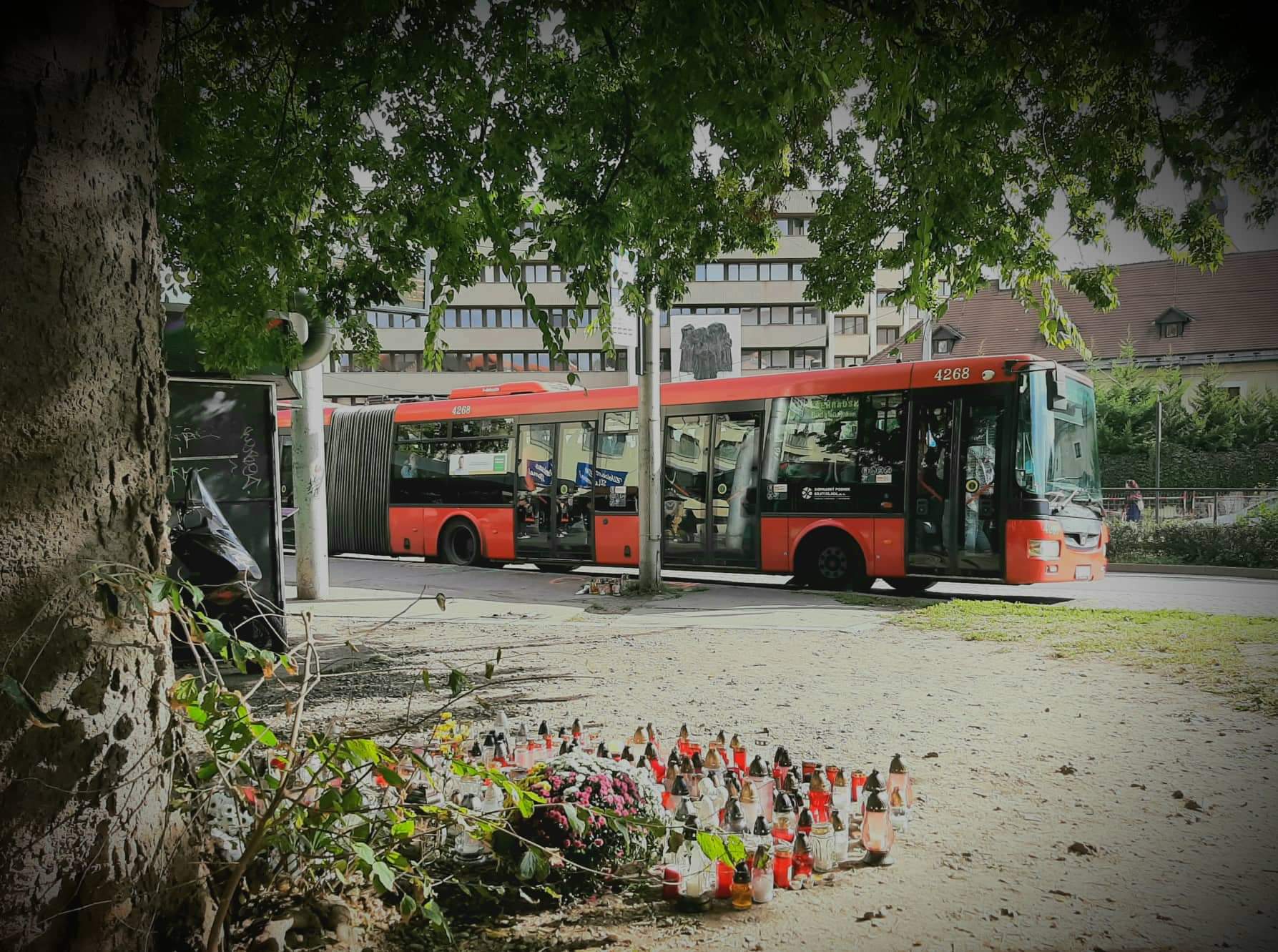 Accident cu patru mașini în Ploiești: o femeie a ajuns la spital după o coliziție pe strada Romană