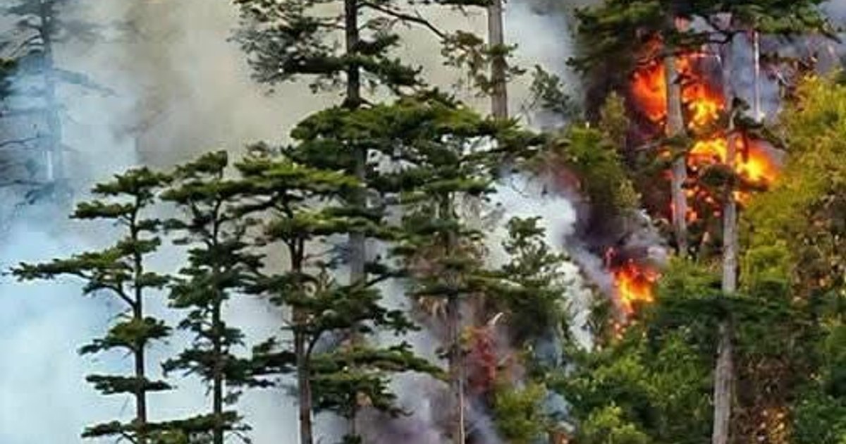 Parcul Național Domogled – Valea Cernei este afectat de incendii masive. Două elicoptere din rezerva rescEU vin în ajutor