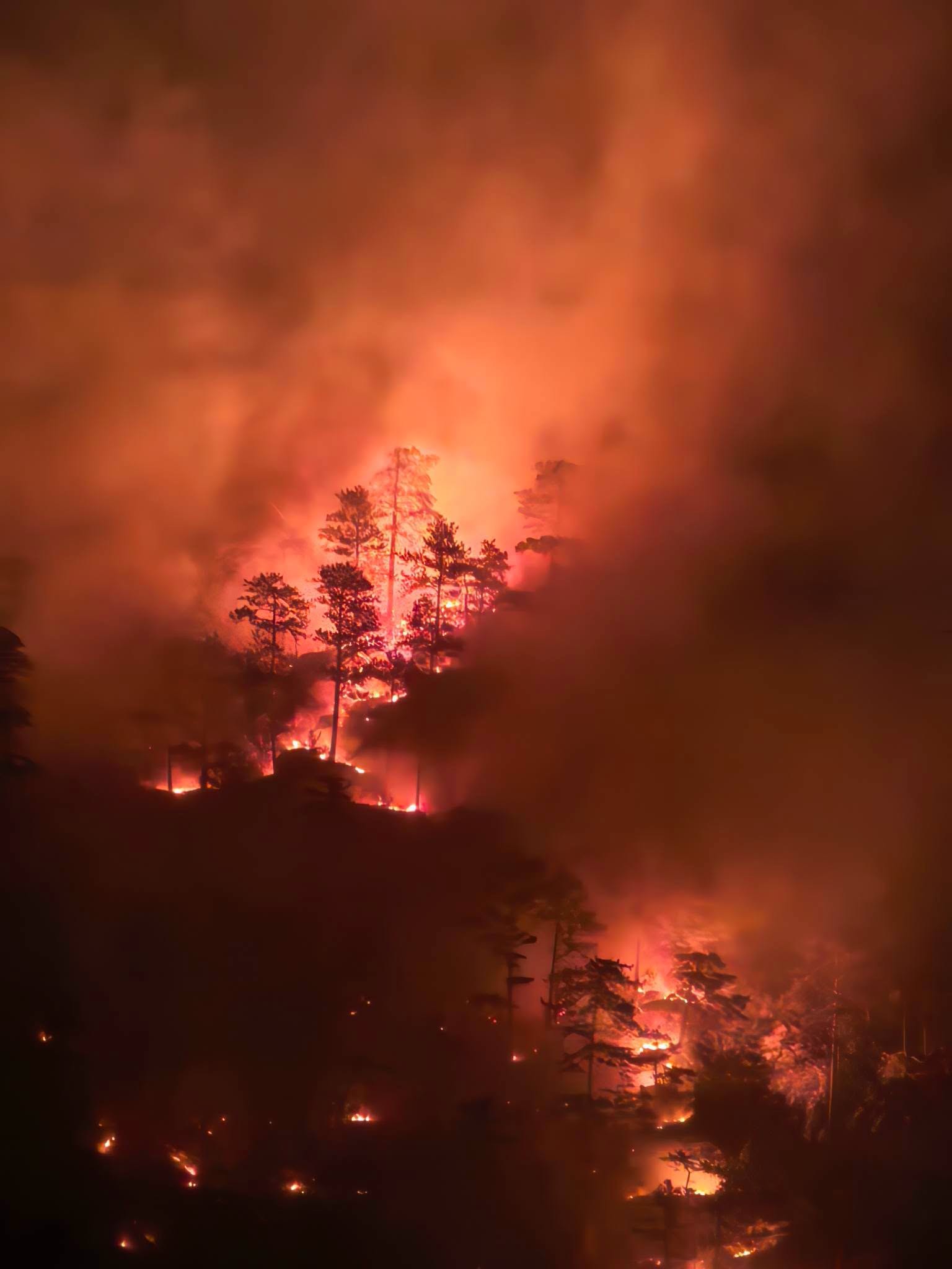 Incendiul din Parcul Național Domogled-Valea Cernei afectează 400 de hectare de pădure