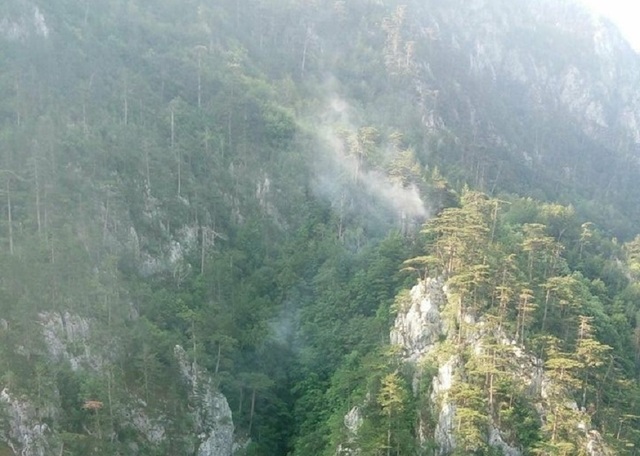 Elicoptere Black Hawk sunt mobilizate în Parcul Național Domogled pentru stingerea unui incendiu de vegetație