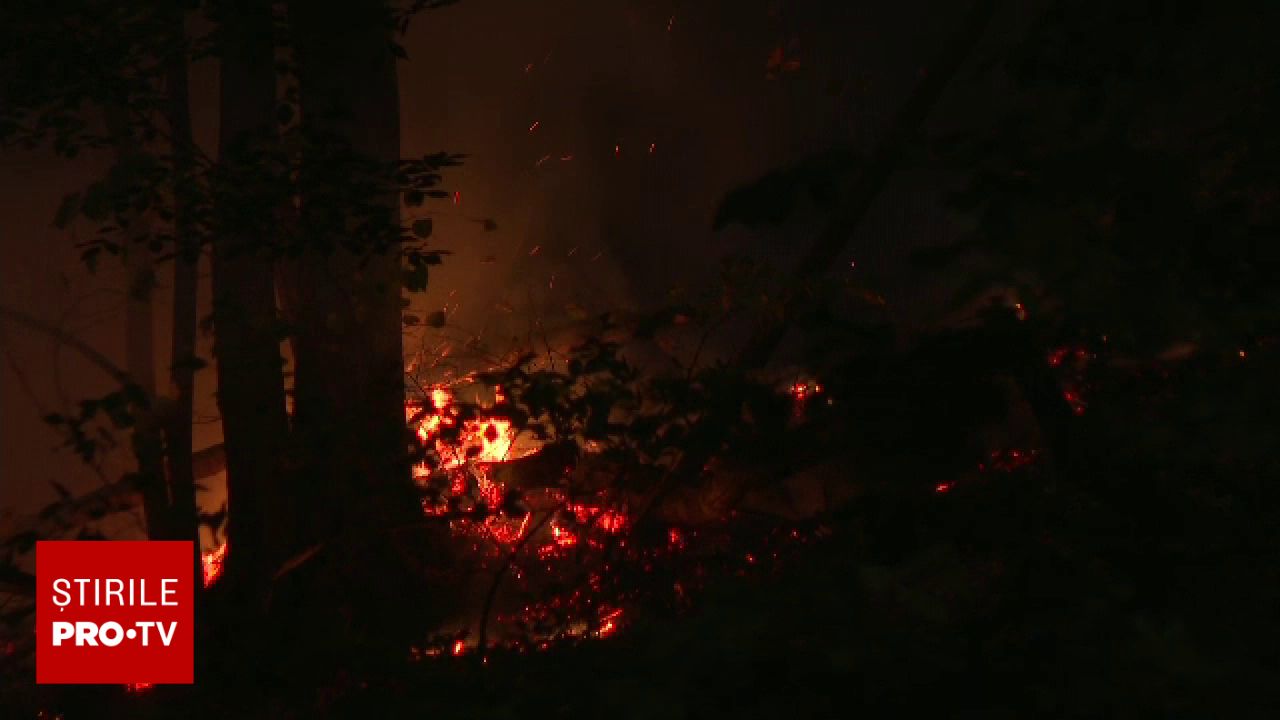 Incendiul de lângă Băile Herculane se extinde: peste 400 de hectare afectate și amenințare la adresa stațiunii