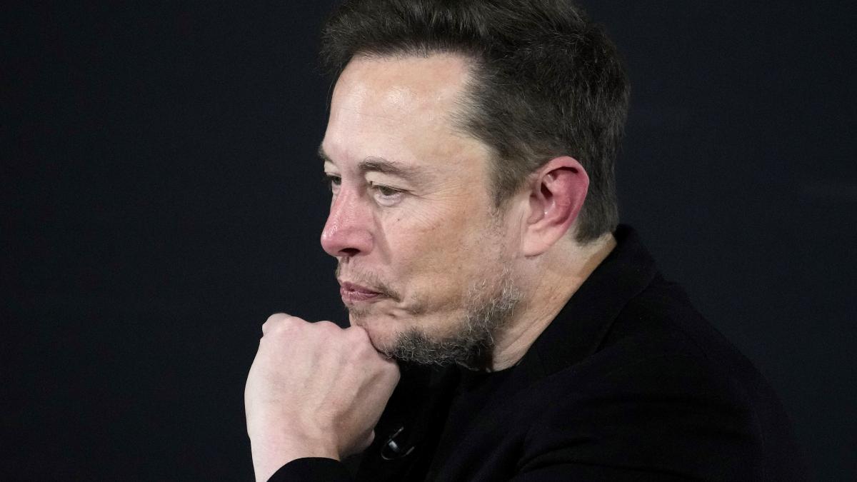 Maye Musk afirmă că Elon Musk a demonstrat o inteligență neobișnuită încă de la vârsta de 3 ani