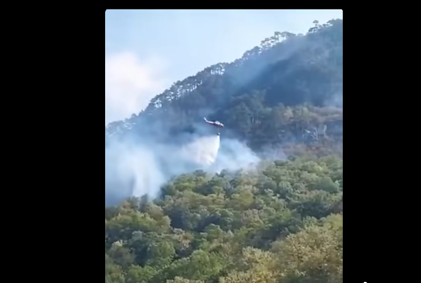 Gabriel Păun cere sprijin european suplimentar pentru stingerea incendiilor din Parcul Național Domogled