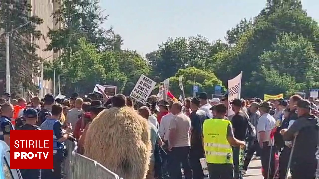 Protest de amploare al crescătorilor de ovine în fața Guvernului. Revendicările oierilor în București