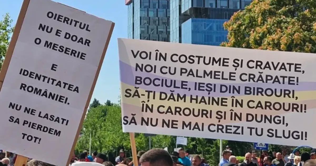 Fermieri și crescători de animale protestează în Piața Victoriei. Reclamații privind exporturile și despăgubirile