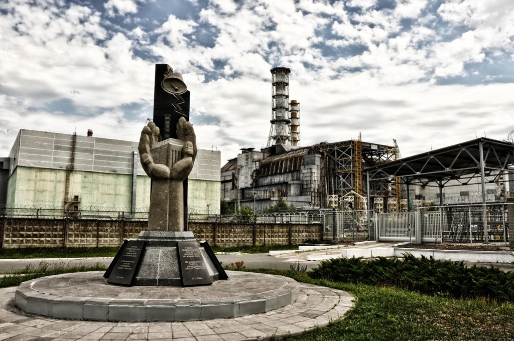 Floarea-soarelui, metoda naturală folosită pentru reducerea contaminării radioactive de la Cernobîl