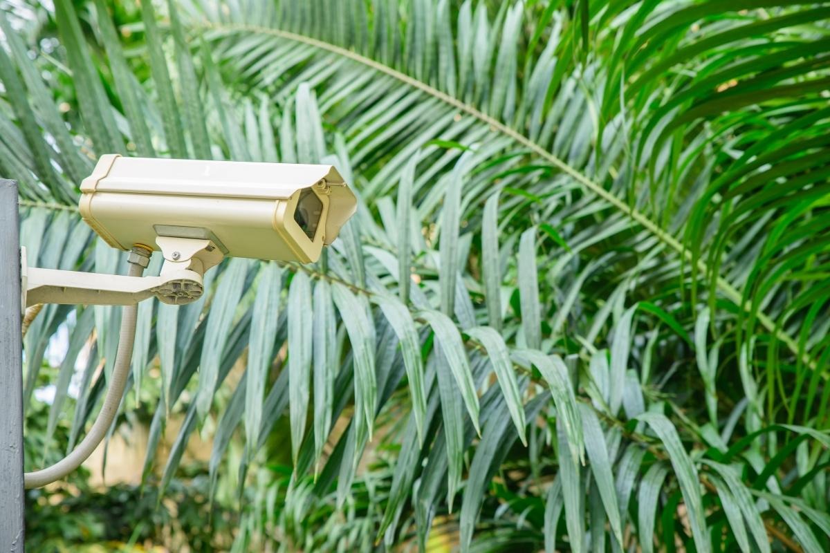 Importanța mentenanței sistemelor de supraveghere video pentru securitatea continuă