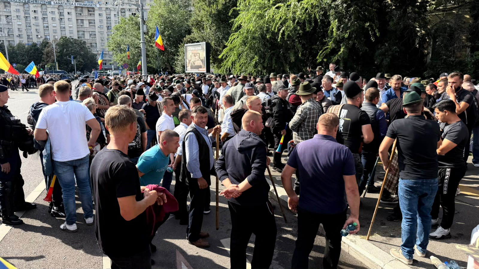 Proteste în fața Guvernului: Crescători de animale acuză deciziile politice care distrug zootehnia