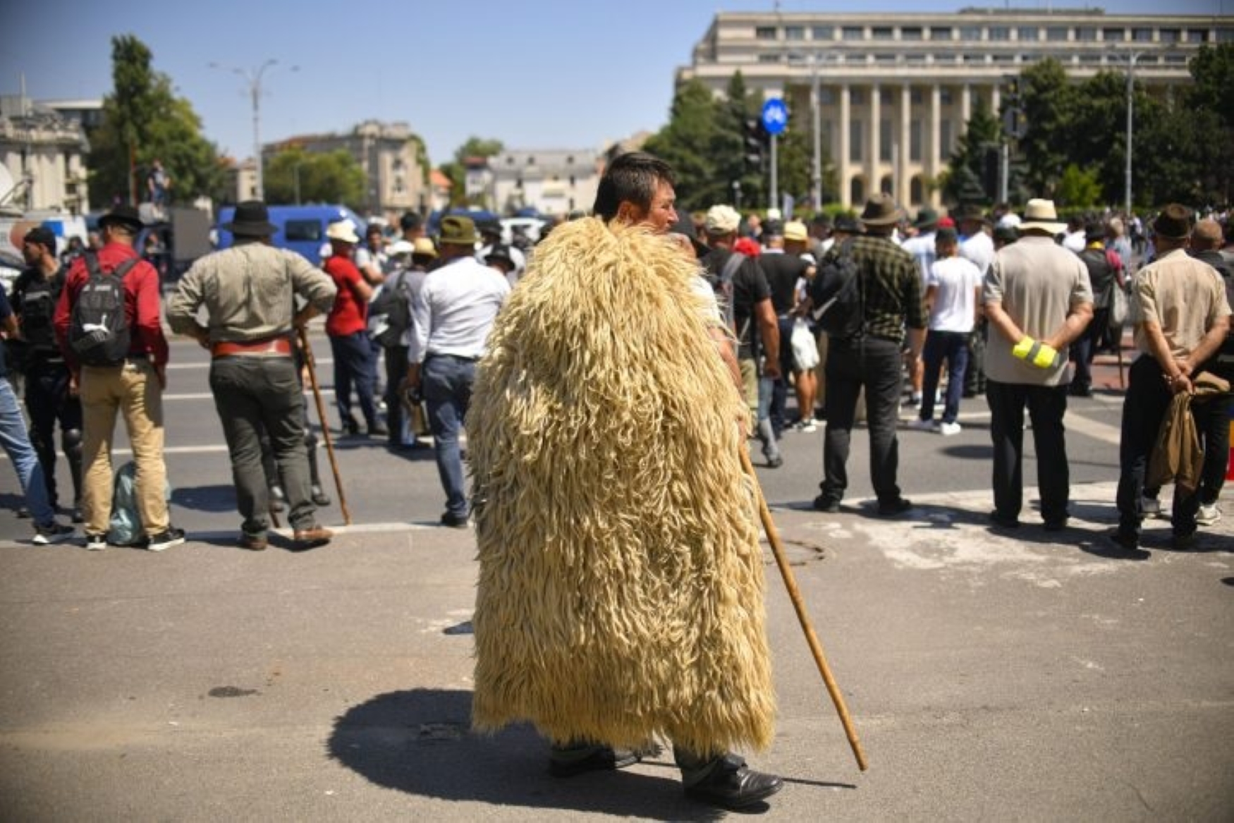 Protest de fermieri în fața Guvernului: Sute de crescători de ovine și apicultori protestează în Piața Victoriei