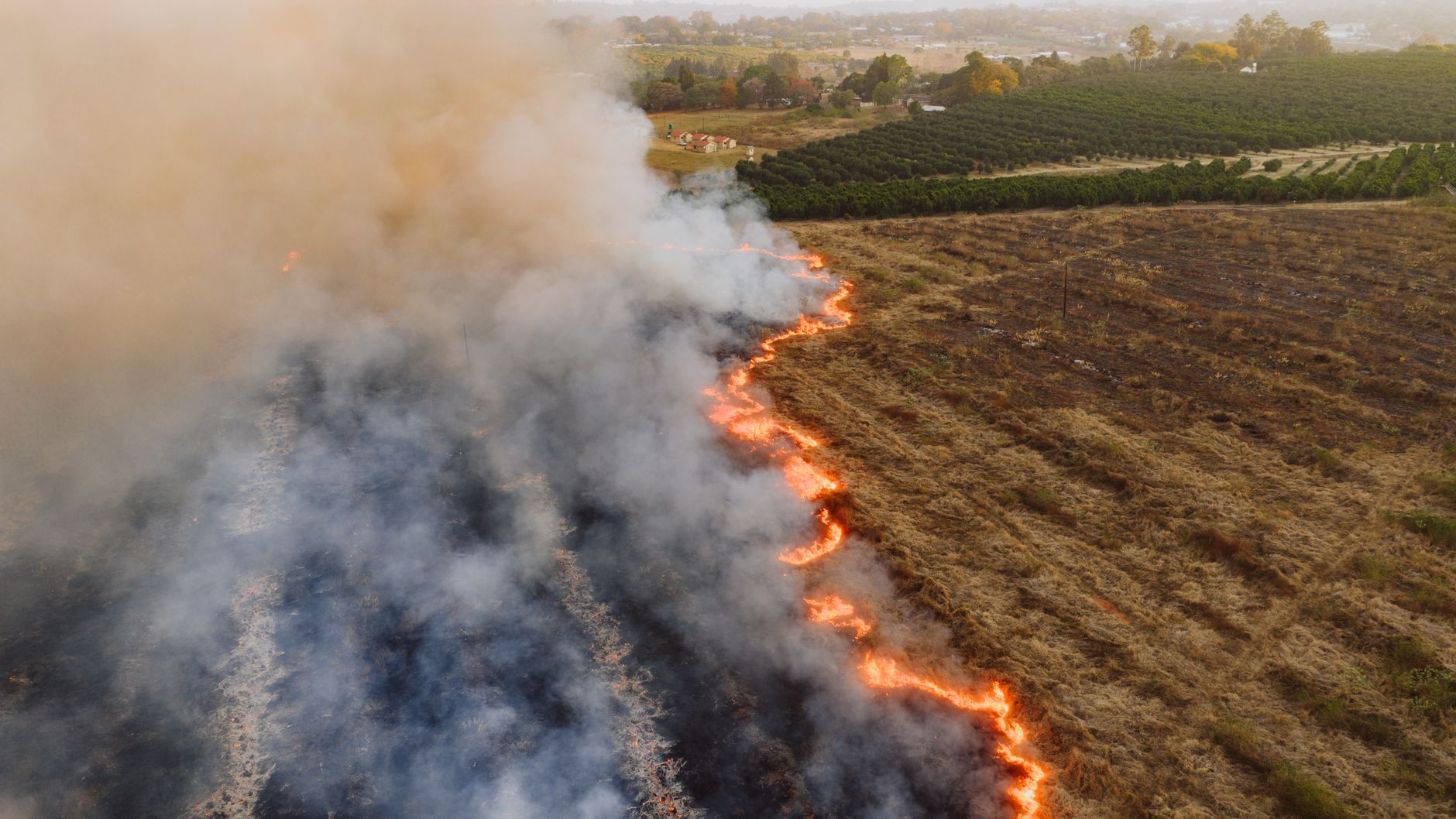 Șapte incendii de vegetație au afectat peste 44 de hectare de teren în județul Timiș
