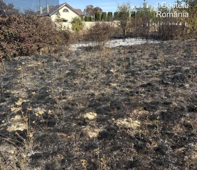 Timpăș: 7 incendii de vegetație au afectat peste 44 de hectare de teren în 24 de ore