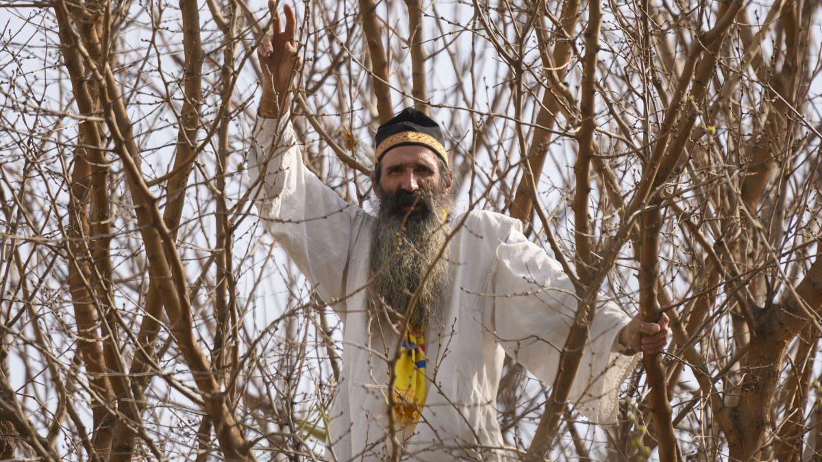 Cezar Avrămuță, cunoscut sub numele de „Stegarul Dac”, a fost reținut după un incident cu jandarmii