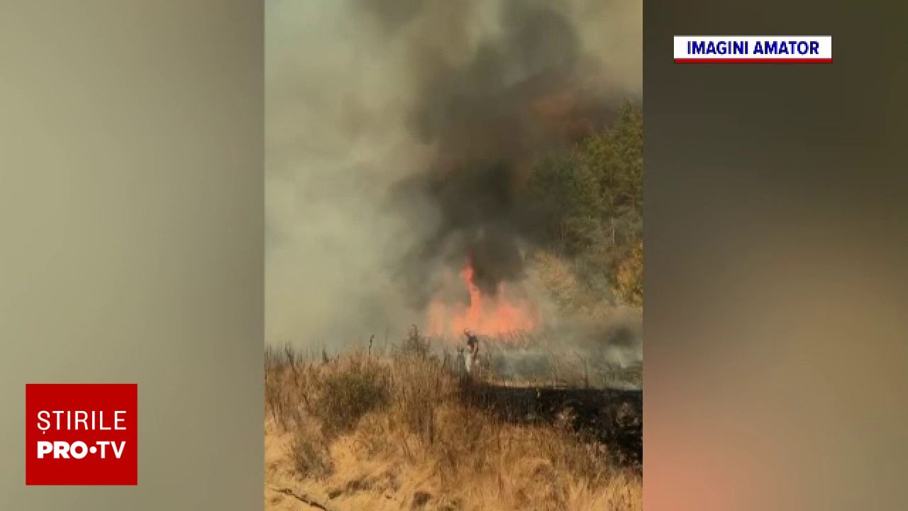 Incendiu de amploare în pădurea de pini din Mehedinți, cu intervenție de la Gorj