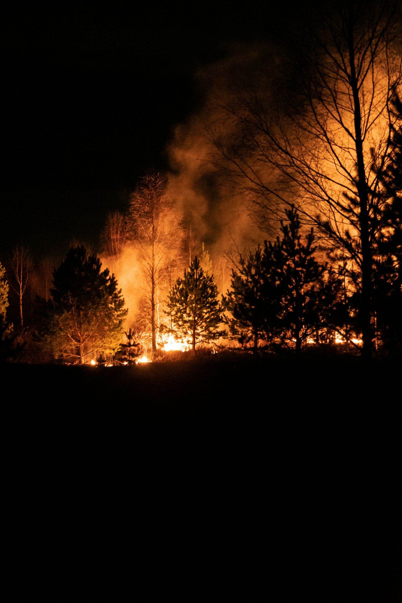Incendii de vegetație în Timiș și Teleorman: zeci de hectare afectate de arderi necontrolate