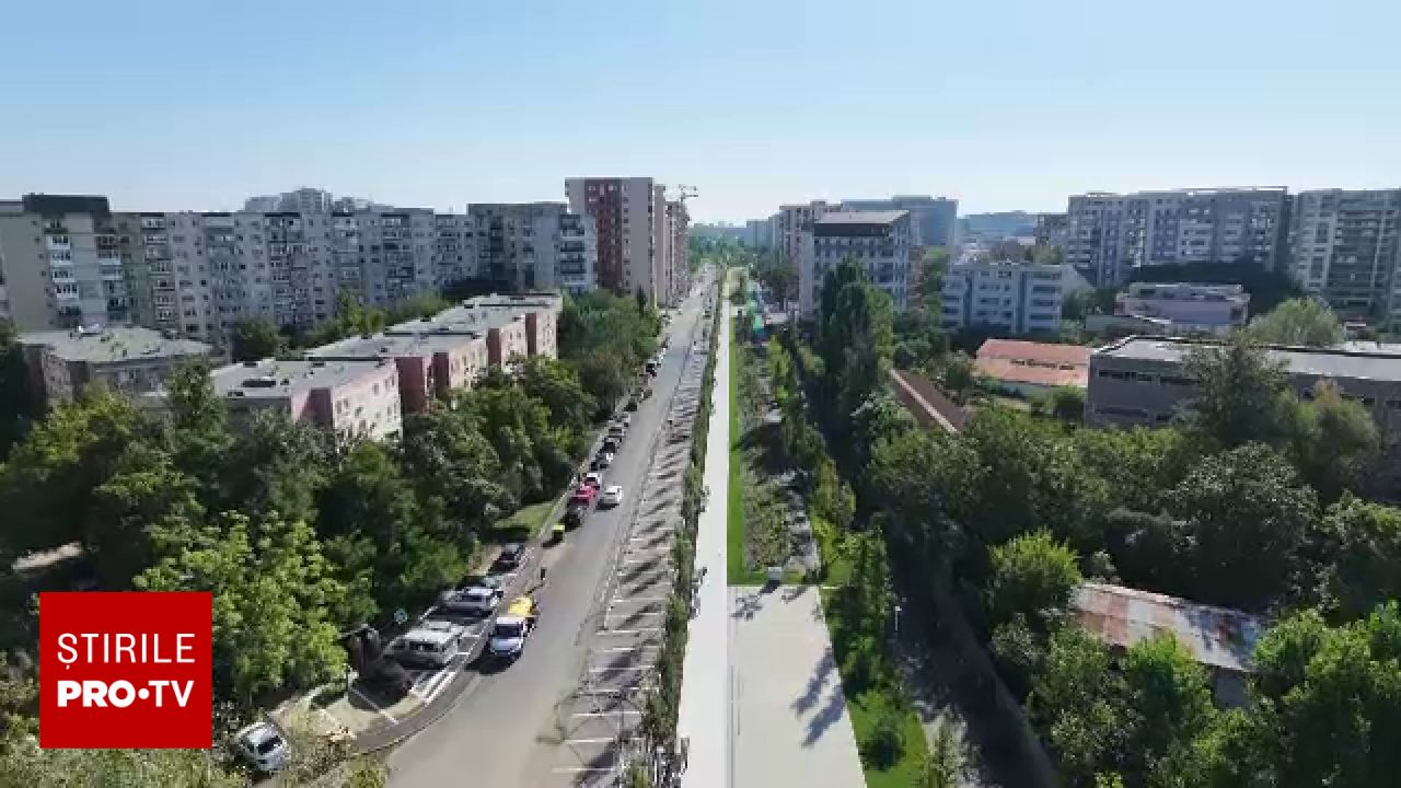 Bucureștiul se transformă într-un „oraș-parc”: mii de metri pătrați sunt transformați în grădini urbane