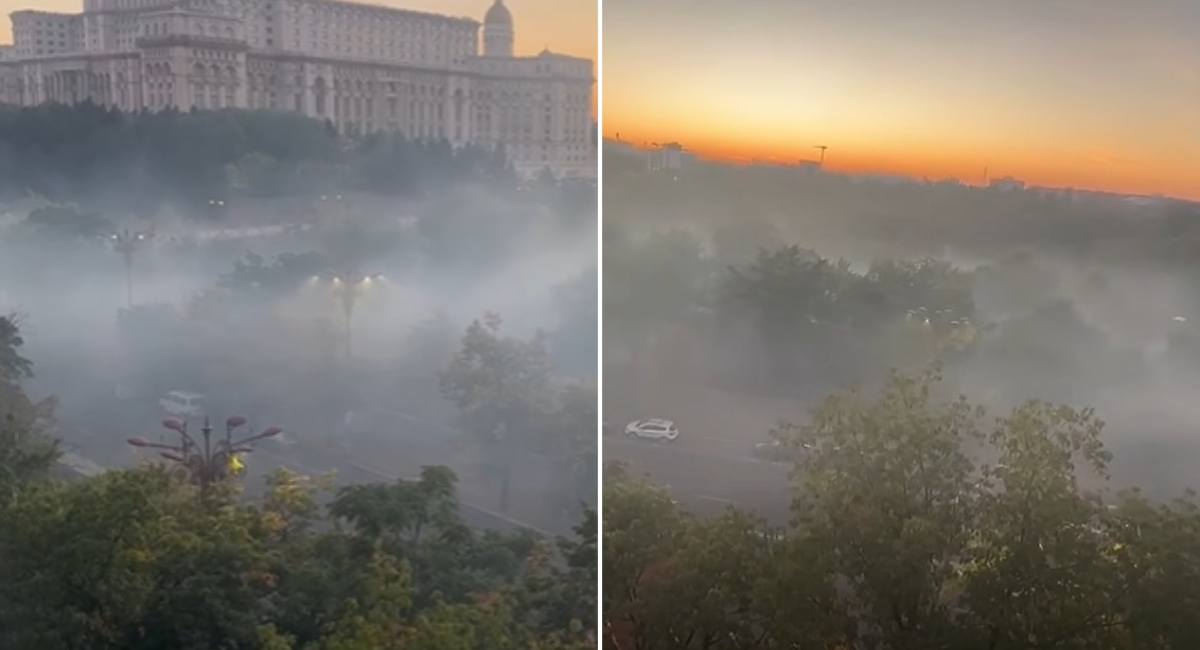 Control al Gărzii de Mediu în București după plângerile cetățenilor privind competiția de drifting